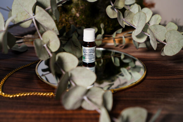 Huile essentielle Eucalyptus radié