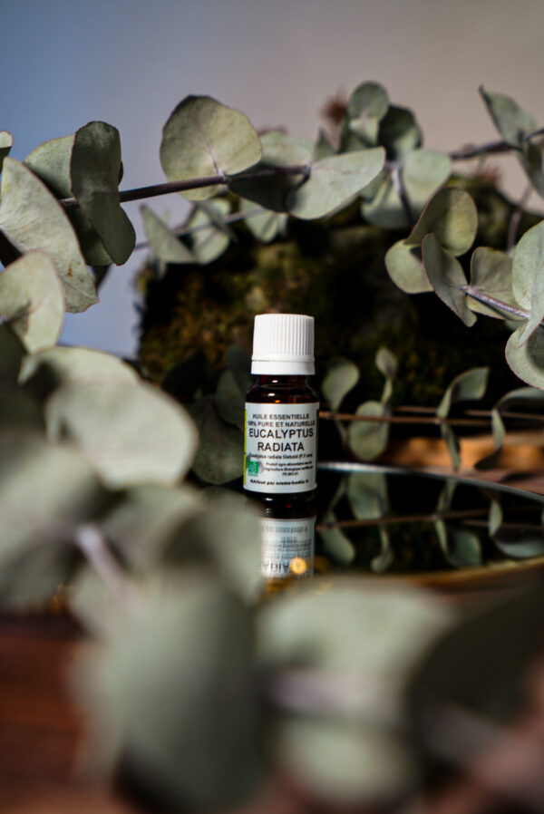 Huile essentielle Eucalyptus radié
