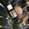 huile essentielle ylang ylang